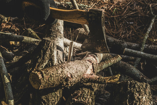 axe in log wood 
