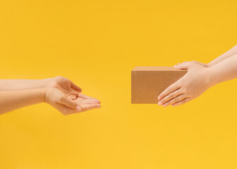 Delivery. Photo template with copy space. Hands handing over a parcel in a cardboard box