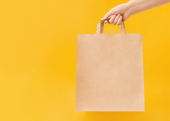 Delivery in paper bag. Copy space. Woman is holding paper bag with handles on yellow backdrop