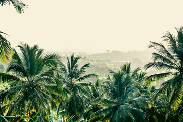 Obraz na płótnie Canvas Dominican Republic landscape