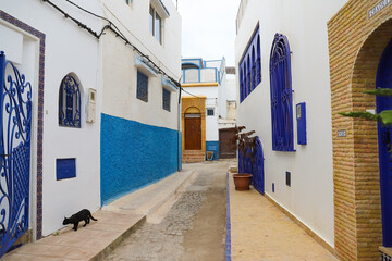 Street in Kasbah of the Udayas in Rabat, Morocco
