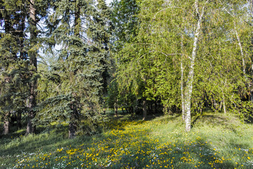 Spring view of South Park in city of Sofia, Bulgaria