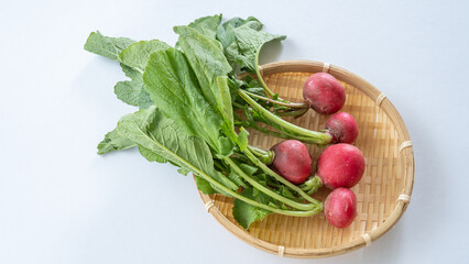 二十日大根・ラディッシュ