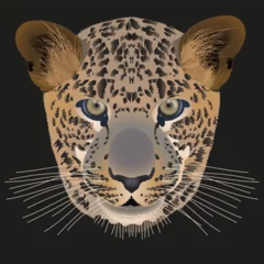Foto op Plexiglas Vector illustration of a leopard head on a black background © Евгений Горячев