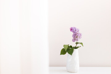 Bouquet of Lilacs in a Glass Vase isolated on white. Branch with Lilac Flowers.