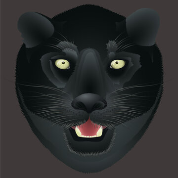 Vector illustration of a black panther  head on a black background