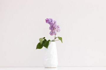 Purple lilac in white vase on wooden table. Spring branches of blooming lilac festive bouquet of flowers.