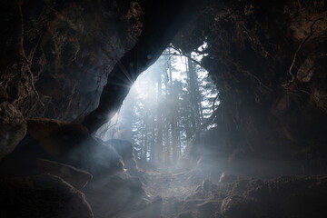 A small cave dug out under a tree by rockhounds hunting for crys