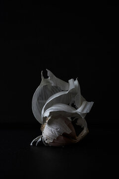 bulb of garlic with cloves on dark table