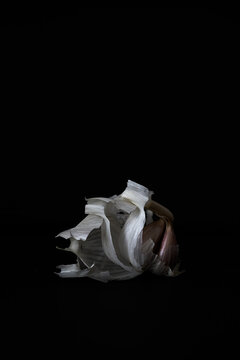 Garlic bolb and cloves on black background