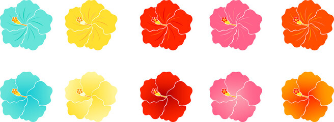 カラフルなハイビスカスの花のイラストセット