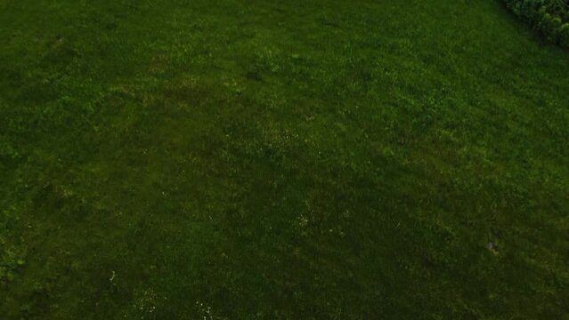 Flying over bright green agriculture field toward multiline highway separated from the field by shrubs and bushes