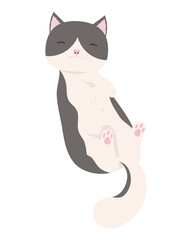 cute kitty mascot