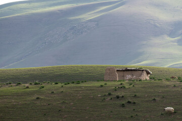 Peaceful landscape with an old neglected construction in the middle of green pasture