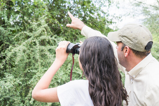 Mature Park Ranger indicates to a young student with binoculars the location of a protected species in a national park