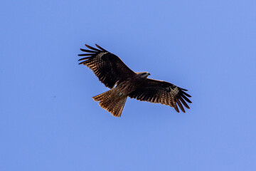 キリシタン洞窟