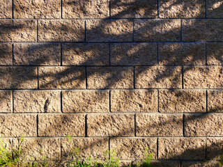 closeup garden wall sunny shadows shade tree shadow trees brick block landscaping house shed building