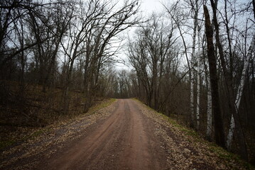 Fototapeta premium St. Croix State Park , Minnesota