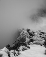 Vertical greyscale shot of a foggy winter day in Mallorca, Spain