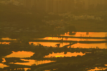 a view at Kai Kung Leng,  fish pond of Nam Sang Wai, Yuen Long