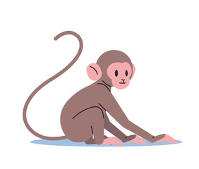 cute monkey funny tropical animal cartoon primate isolated full length