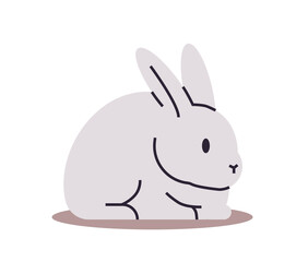 cute rabbit funny animal cartoon pet isolated