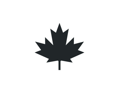 Maple leaf vector shape icon. Forest and wood symbol sign. Nature tree logo. Canada label.