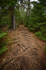 Cascade River State Park
