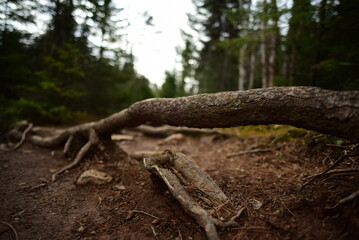Cascade River State Park