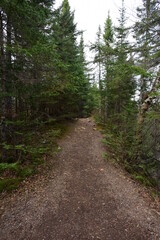 Judge C.R Magney State Park