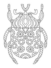 Obraz premium Melolontha or green rose chafer decorative linear bug vector illustration. Unusual hand-drawn beetle coloring page for adults. Black outline summer bug with ornaments vector illustration