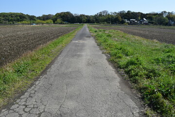 Obraz premium 舗装された農道と田園風景