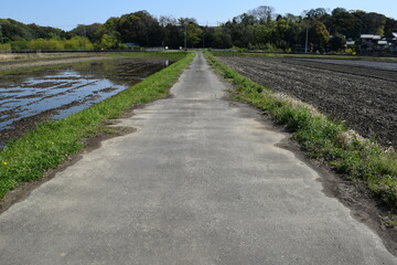 Fototapeta premium 舗装された農道と田園風景