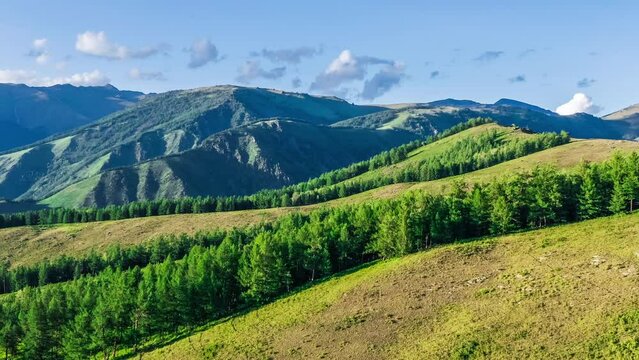 Aerial footage of green forest and mountain natural landscape in Xinjiang, China. 