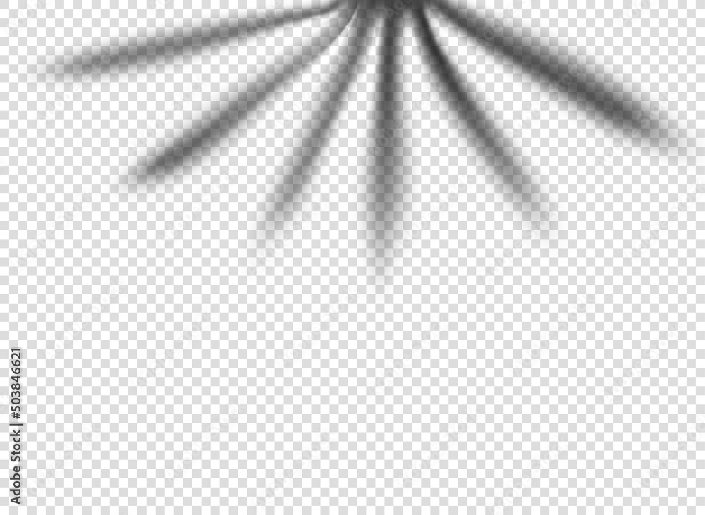 Poster palm leaf shadow isolated on transparent background. vector tempalte for design