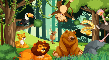 Various animals in the forest