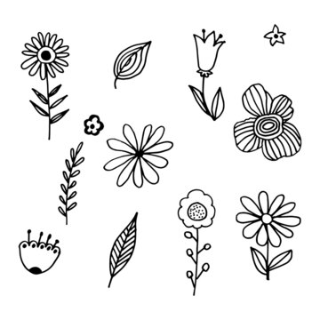 Vector funny set of wildflowers doodles on background.