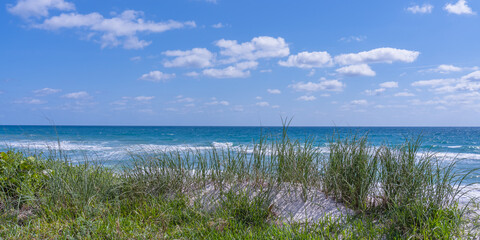 View of the dunes overgrown with grass and the Atlantic Ocean in Florida