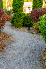 Walkway in the natural park with autumn red and green bushes and trees. Autumn bushes and trees with colorful leaves background.