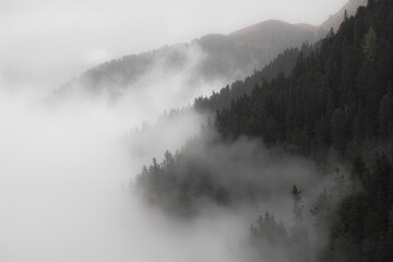 Low clouds in the forest at fall with yellow larches