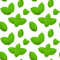 Seamless pattern with mint leaves.Herbs.
