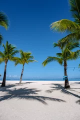 Wall murals Le Morne, Mauritius Le Morne beach Mauritius Tropical beach with palm trees and white sand blue ocean and beach beds with umbrellas, sun chairs, and parasols under a palm tree at a tropical beach. Mauritius Le Morne