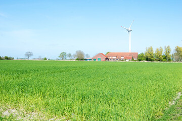 windmill in the field