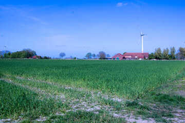 landscape with a windmill in the country