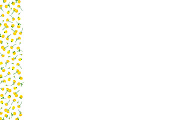 黄色いバラが左端に散らばる背景素材
