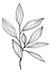 Black and white graphic illustration of a twig with leaves on a white background.