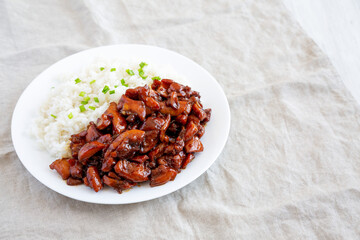Homemade Teriyaki Chicken with White Rice on A Plate, side view. Space for text.