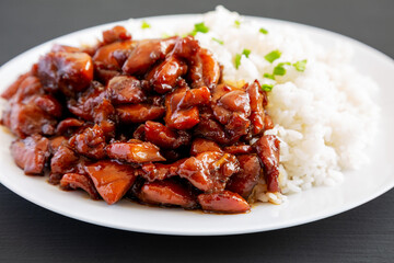 Homemade Teriyaki Chicken with White Rice on a Plate on a black background, side view. Close-up.