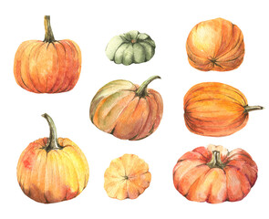 Watercolor set of orange pumpkins