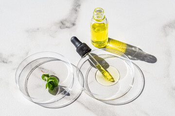 Cosmetic skincare background. Herbal medicine with green mint leaves. Beauty spa product. Laboratory glass petri with pipette dropper of serum, oil, beauty product.